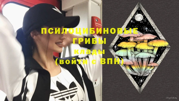 шишки Богданович