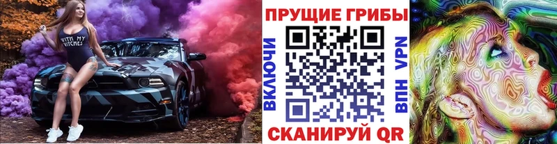 продажа наркотиков Демидов Псилоцибиновые грибы Magic Shrooms